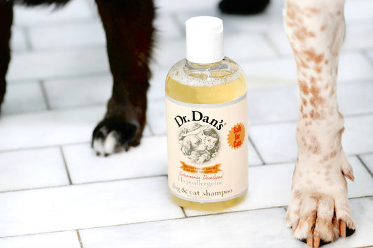 The Creation of Dr. Dan's Pet Care